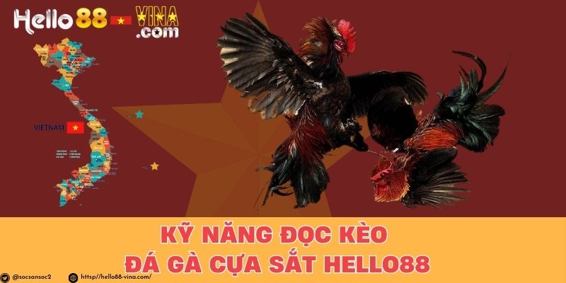 Kỹ Năng Đọc Kèo Đá Gà Cựa Sắt Hello88