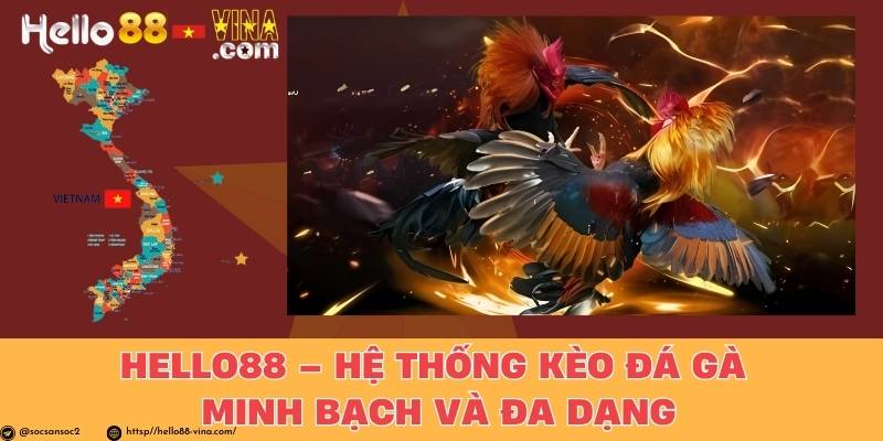 Hello88 – Hệ Thống Kèo Đá Gà Minh Bạch Và Đa Dạng