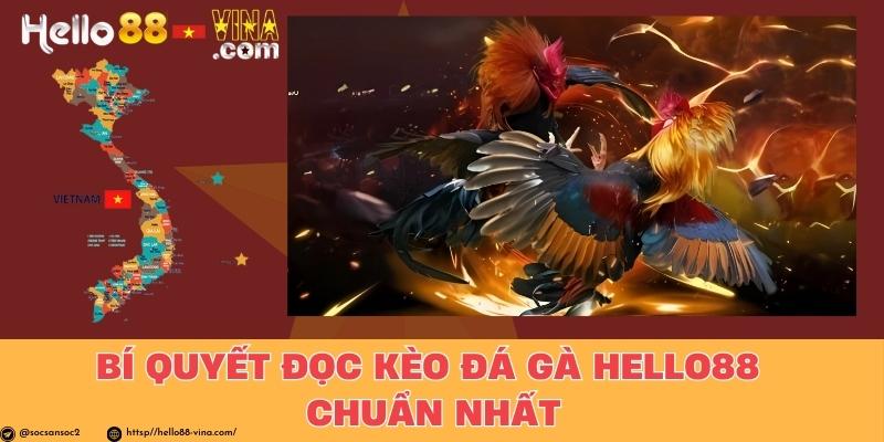 Bí Quyết Đọc Kèo Đá Gà Hello88 Chuẩn Nhất