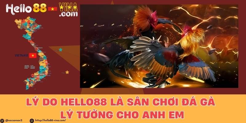 Lý Do Hello88 Là Sân Chơi Đá Gà Lý Tưởng Cho Anh Em