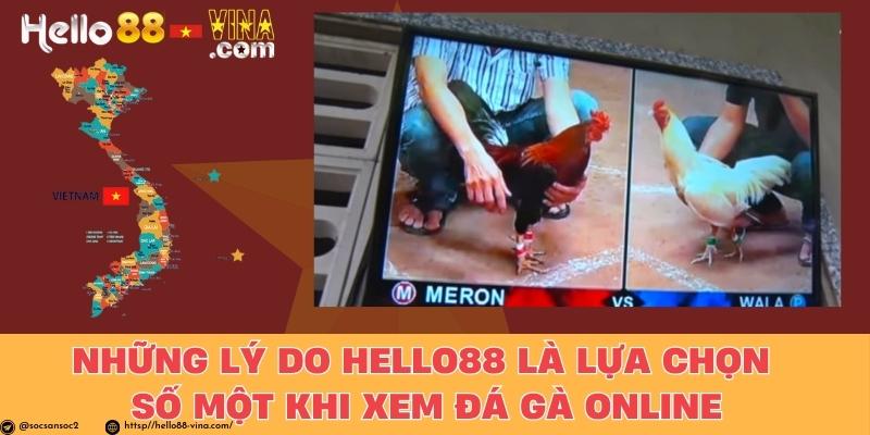 Những Lý Do Hello88 Là Lựa Chọn Số Một Khi Xem Đá Gà Online